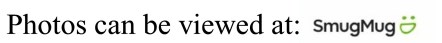 Smugmug